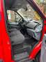 Ford Transit BUS H2+L3 7.Stz Klima Tempomat PDC Rojo - thumbnail 9