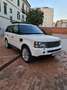 Land Rover Range Rover Sport Range Rover Sport 2.7 TDV6 HSE Alb - thumbnail 23