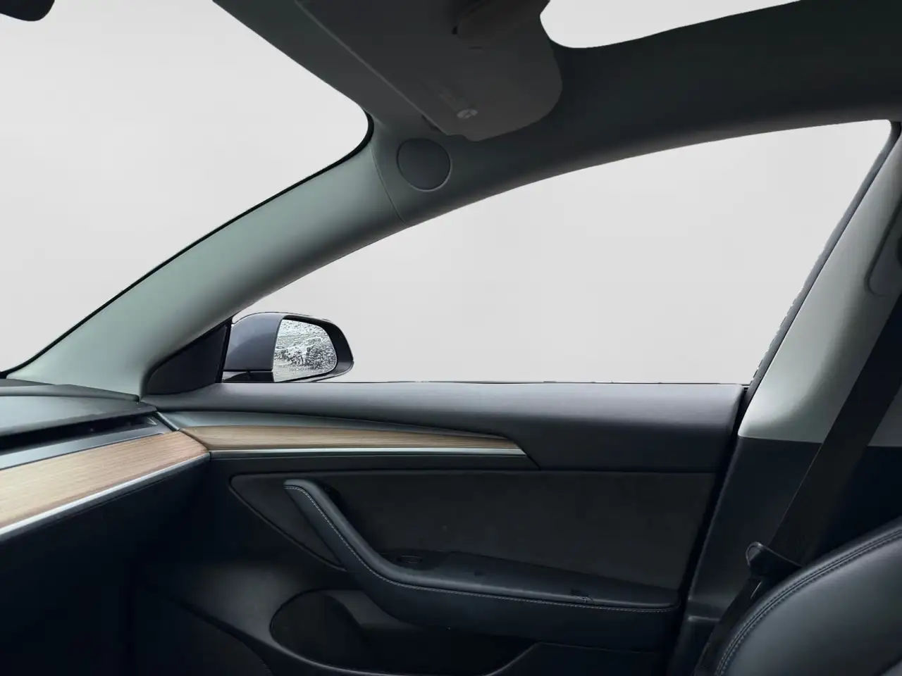 Tesla Model 3 photo Tesla Model 3