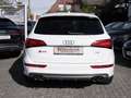 Audi SQ5 3.0 TDI competition quattro XENON+NAVI Weiß - thumbnail 16