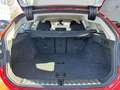 BMW 320 d xDrive Touring Aut. Rot - thumbnail 10