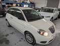Lancia Ypsilon 1.2 8v Elefantino 69cv my14 - thumbnail 12