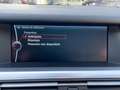 BMW 750 750Li xDrive Eccelsa Gris - thumbnail 22