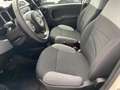 Fiat Panda Panda 1.0 firefly hybrid City Life Weiß - thumbnail 9