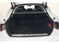 Audi A5 Sportback 40 TDI quattro advanced B&O*ACC*Matrix-LED * Weiß - thumbnail 6
