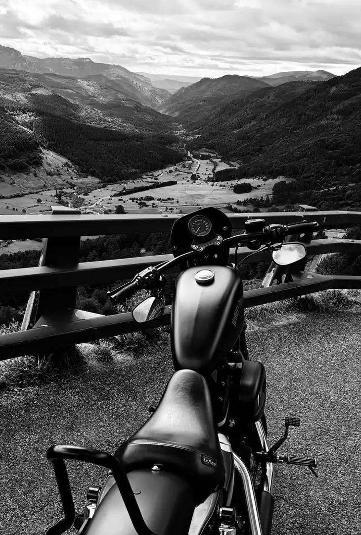 Harley-Davidson Iron 883 Sportster Negro - 1