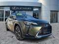 Lexus UX 250h Luxury Line HUD*Schiebedach*SitzMemory Grün - thumbnail 6