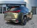 Lexus UX 250h Luxury Line HUD*Schiebedach*SitzMemory Grün - thumbnail 5