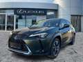 Lexus UX 250h Luxury Line HUD*Schiebedach*SitzMemory Grün - thumbnail 2