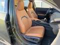 Lexus UX 250h Luxury Line HUD*Schiebedach*SitzMemory Grün - thumbnail 9