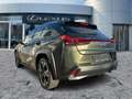Lexus UX 250h Luxury Line HUD*Schiebedach*SitzMemory Grün - thumbnail 5
