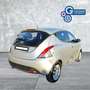 Lancia Ypsilon Ypsilon 1.2 69 CV 5 porte GPL Ecochic Gold - thumbnail 7