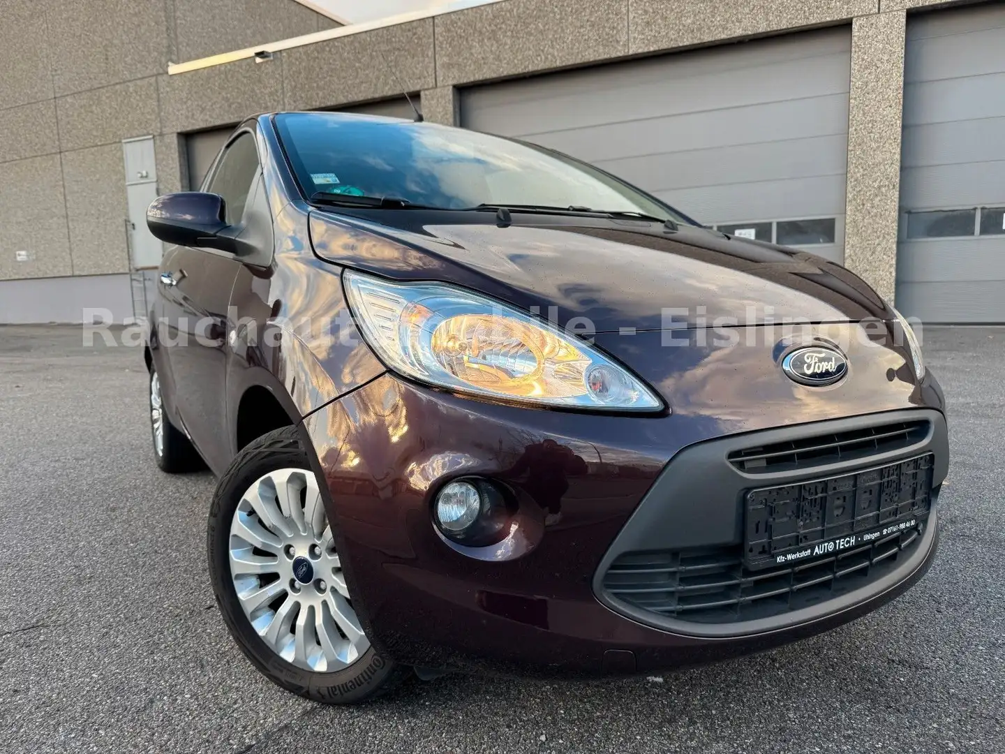 Ford Ka/Ka+ Titanium, Panorama,PDC,Sitzheizung,Klima,Alu Brun - 1