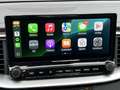 Kia Ceed SW / cee'd SW Pulse 1.0 T-GDi |Navi|Camera|Car Play Gris - thumbnail 14