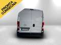 Fiat Ducato OPEL Movano L3H2 Doppia Porta Laterale 140cv km0 - thumbnail 5