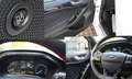 Ford Focus Lim. 1.5 EcoBoost ST-Line  CarPlay Cam LED Wit - thumbnail 14