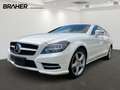 Mercedes-Benz CLS 350 Shooting Brake CLS 350 CDI 4MATIC Shooting Weiß - thumbnail 2