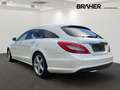 Mercedes-Benz CLS 350 Shooting Brake CLS 350 CDI 4MATIC Shooting Weiß - thumbnail 5