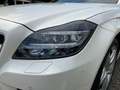 Mercedes-Benz CLS 350 Shooting Brake CLS 350 CDI 4MATIC Shooting Weiß - thumbnail 6