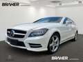 Mercedes-Benz CLS 350 Shooting Brake CLS 350 CDI 4MATIC Shooting Weiß - thumbnail 1
