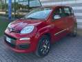 Fiat Panda Panda 0.9 t.air t. natural power Lounge 80cv Rosso - thumbnail 2