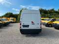 Renault Master L3H2/Maxi RS/Regaleinbau/Hochdach/Klima Weiß - thumbnail 5