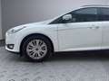 Ford Focus Trend Weiß - thumbnail 22