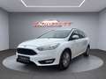 Ford Focus Trend Weiß - thumbnail 8