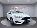 Ford Focus Trend Weiß - thumbnail 1
