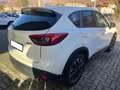 Mazda CX-5 2.2L Skyactiv-D 175CV 4WD Exceed MOTORE NUOVO Blanc - thumbnail 4