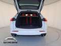Maserati Grecale 2.0 mhev Modena 330cv auto Bianco - thumbnail 10