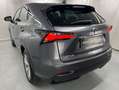 Lexus NX 300 h*ALLRAD*1.HAND*PANO*TOTW*HUD*RELAX GARANT Grau - thumbnail 8