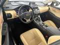 Lexus NX 300 h*ALLRAD*1.HAND*PANO*TOTW*HUD*RELAX GARANT Grau - thumbnail 12