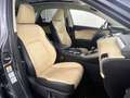 Lexus NX 300 h*ALLRAD*1.HAND*PANO*TOTW*HUD*RELAX GARANT Grau - thumbnail 13