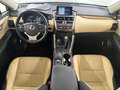 Lexus NX 300 h*ALLRAD*1.HAND*PANO*TOTW*HUD*RELAX GARANT Grau - thumbnail 16