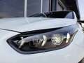 Kia Ceed SW / cee'd SW ceed SW PHEV Aut. *VOLL-LED / NAVI / AHV & KAME... Alb - thumbnail 14