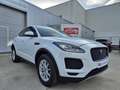Jaguar E-Pace 2.0 D 150cv AUTO. // AWD // Blanc - thumbnail 2