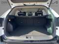 Kia Sportage 1.6T HEV Spirit LED+360°Kamera+Navi Blanc - thumbnail 17