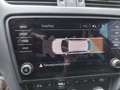 Skoda Octavia Octavia Scout Grau - thumbnail 6