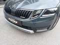 Skoda Octavia Octavia Scout Grau - thumbnail 3