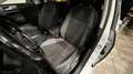 Volkswagen Golf 1.6 TDI 115 CV 5p. Sport BlueMotion Technology Blanc - thumbnail 8