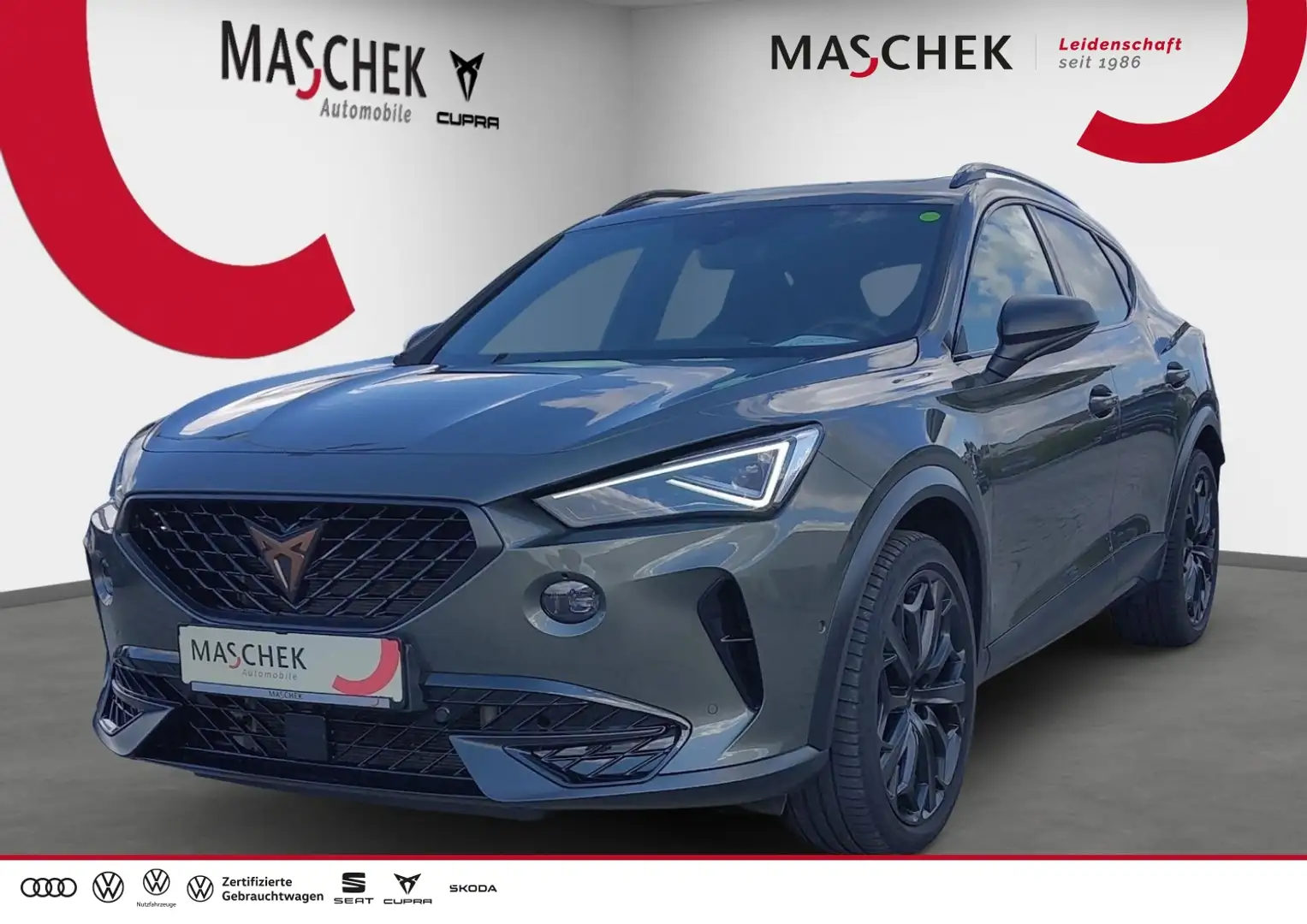CUPRA Formentor Tribe Edit. 2.0 TSI DSG Pano Matrix Schalens. Mirr Grau - 1