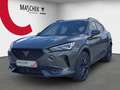 CUPRA Formentor Tribe Edit. 2.0 TSI DSG Pano Matrix Schalens. Mirr Grau - thumbnail 2