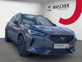 CUPRA Formentor Tribe Edit. 2.0 TSI DSG Pano Matrix Schalens. Mirr Grau - thumbnail 7