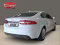 Jaguar XF 2.2 D Navi Leder 2-Zonen-Klimaautomatik Kamera White - thumbnail 8