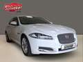 Jaguar XF 2.2 D Navi Leder 2-Zonen-Klimaautomatik Kamera White - thumbnail 10