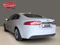 Jaguar XF 2.2 D Navi Leder 2-Zonen-Klimaautomatik Kamera White - thumbnail 5