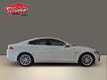 Jaguar XF 2.2 D Navi Leder 2-Zonen-Klimaautomatik Kamera White - thumbnail 9