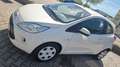 Ford Ka/Ka+ KA 1,2 KLIMA + Sitzheizung + EURO6 Weiß - thumbnail 1