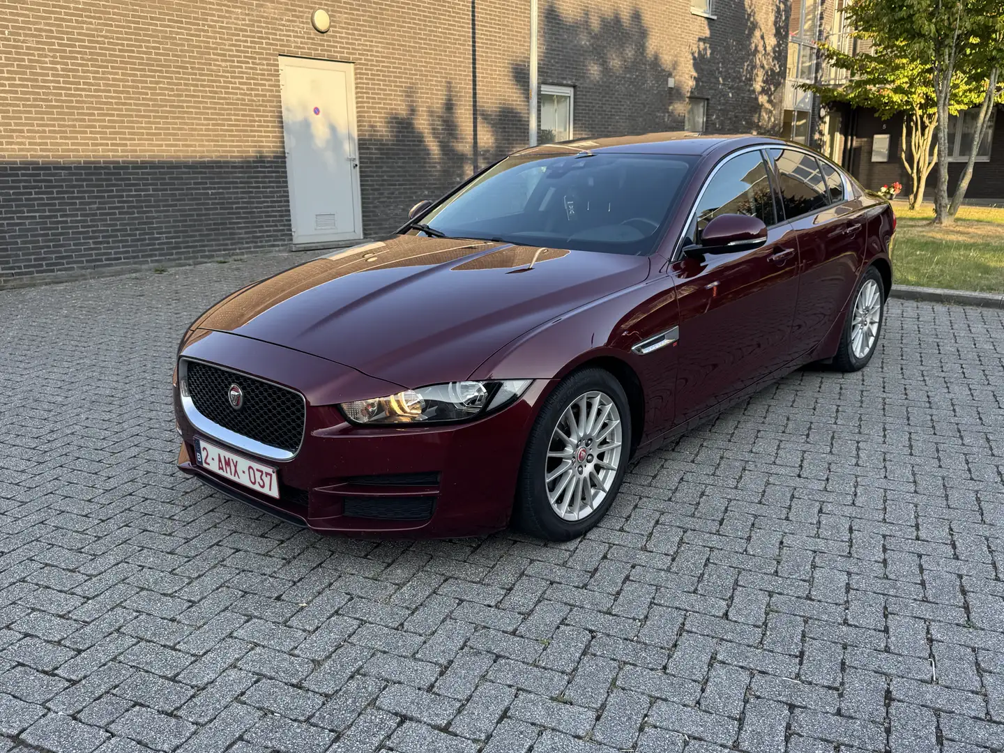 Jaguar XE E-Performance Prestige - 2